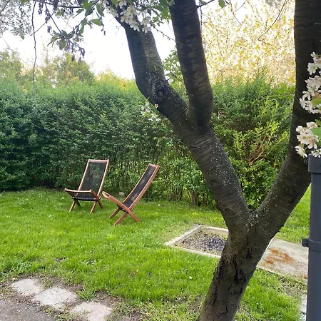 Vadkorte Studio Apartmán *